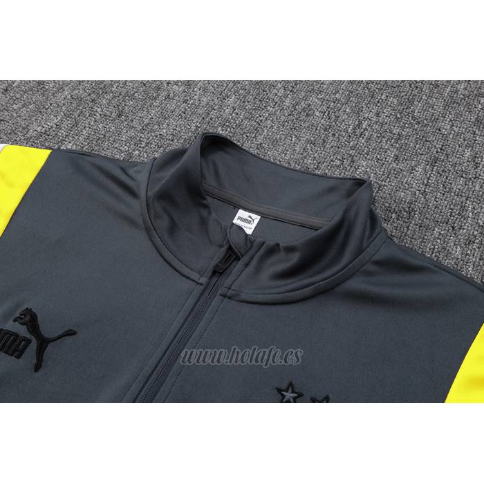 Chandal de Sudadera del Borussia Dortmund 2023-2024 Gris